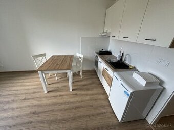 Garsonka 24m2 na prenajom po komplet rekonstrukcii