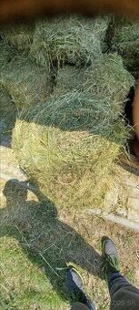 Lucerkovo datelinove baliky