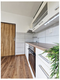 VLKANOVÁ / priestranný 1i byt / 40 m2 / ZARIADENIE / DOHODA
