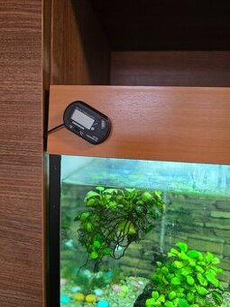 Akváriové rybičky +akvarium