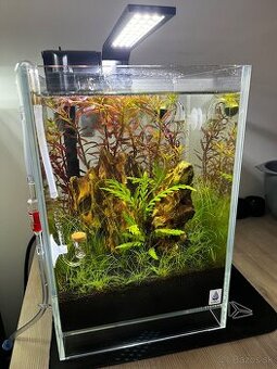 Predám komplet akvárium optiwhite 12l