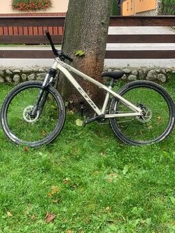 Ctm Dirt King expert 2019