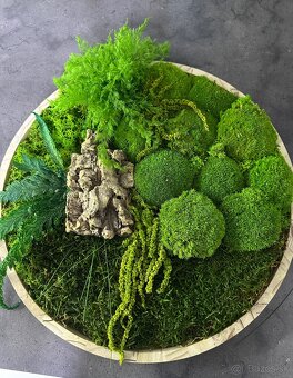 Predám nový machový obraz vhodný ako aj darček