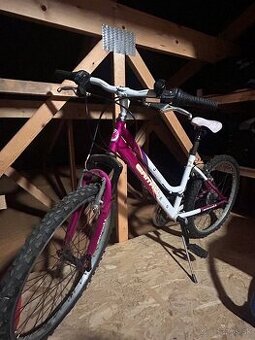 Dievčenský bicykel CARRATT