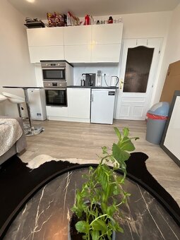 Slnečná, príjemná a zariadená garsónka na Štefánikovej ul. - 1