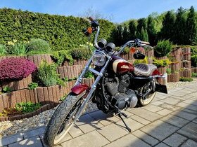 Harley Davidson Sportster XL 1200 - 1