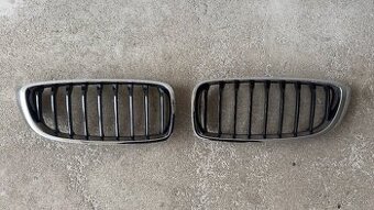 BMW 4 ladvinky / obličky / predna maska