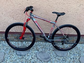 Horský Bicykel BERGSTEIGER REX 29”