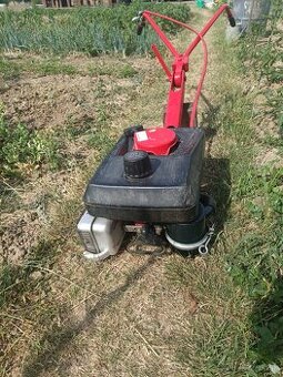 Motor Terra Vari