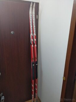 Predám Bežky veľkosť 201cm