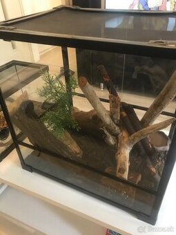 Predam terrarium kompletne