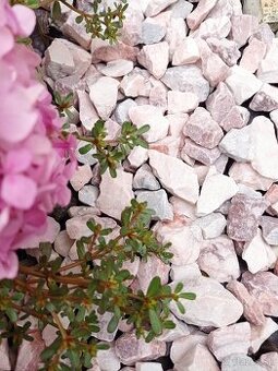 Dekoračný kameň - Rosana pink