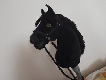 Hobby horse,Hobby horsing