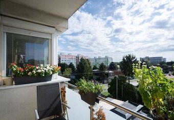 Veľký byt v staršej novostavbe za výbornú cenu na Estónskej