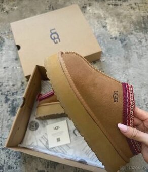 UGG tasman