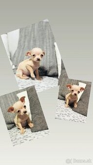 Extra mini.civava - 1