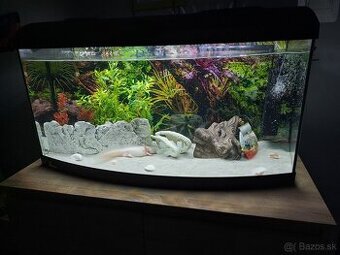Predám 120L akvárium – komplet výbava