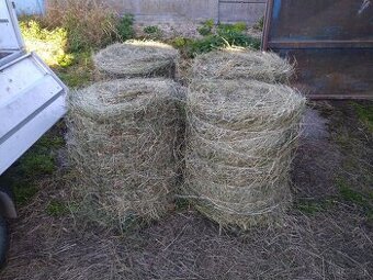 Predaj balíkov sena