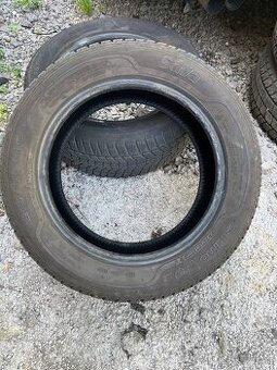Sava Eskimo hp2 215/55 R16
