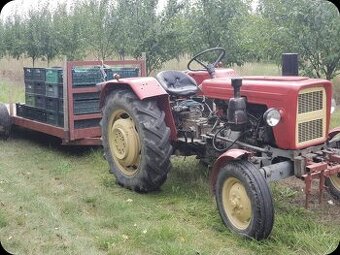 Slivky na kvas 0.48€/kg