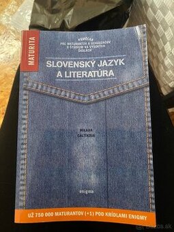 príprava na maturitu