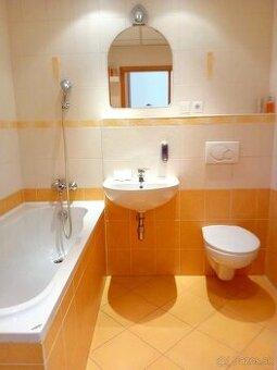 Ponúkam na prenájom príjemný, slnečný 1,5 izbový byt