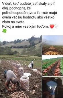 Včelí med horský aj pre alergikov diabetikov a onkologických