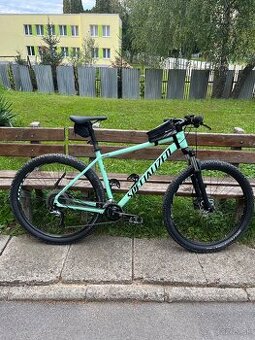 Specialized Rockhopper Comp 2021 XL
