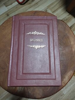 Bojnice a ich okolie, monografia, história,1922