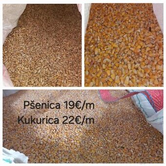 Kukurica  22€ Pšenica 19€
