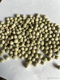 Predám kukuricu, pšenicu a hrach zelený