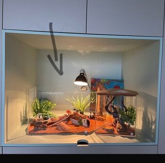 Dizajnové terárium