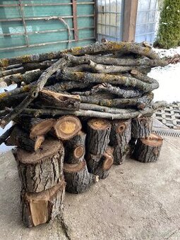 Predám čerstvé orechové drevo