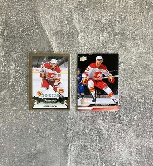 Hokejové kartičky Slováci v NHL