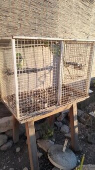 Klietka pre papagája 50eur/kus