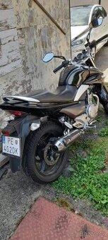 Suzuki inazuma