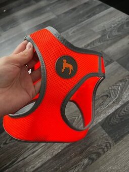 Postroj pro psa - 1