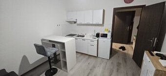 Garsonka na prenájom v Leviciach