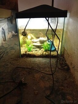 Predám akvárium s vybavením
