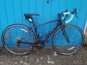 Specialized ruby, karbón, (ako giant, bianchi, trek)