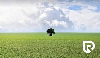 RADO | Stavebný pozemok - Nemšová – 3.500m2