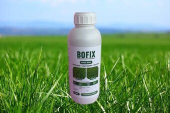 Bofix