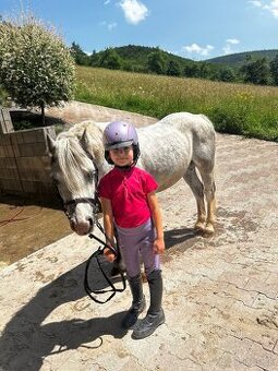 Predam sikovneho S pony