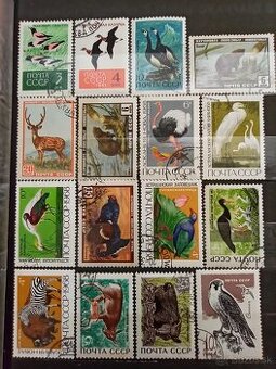 ZSSR fauna