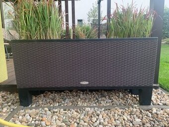 truhlík Lechuza trio cottage