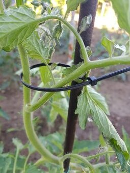 Predám binderky,stahovacie pásky každé 4 balenie zadarmo