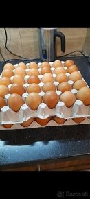 Domáce slepačie vajcia