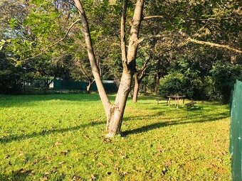 zahrada na prenajom na sezonu 2026