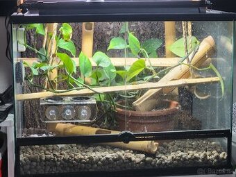 reptiplanet 60x45x45