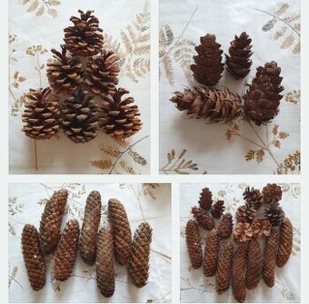 Vetvicky a sisky na adventne vence / dekoracie